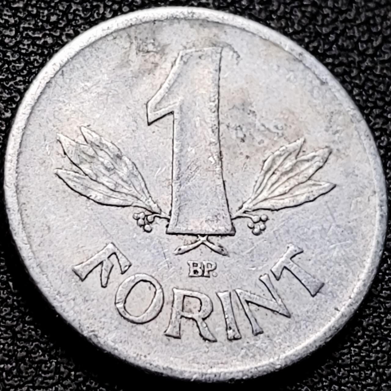 泉币菌-第206场-拍品多 请提前出价 。