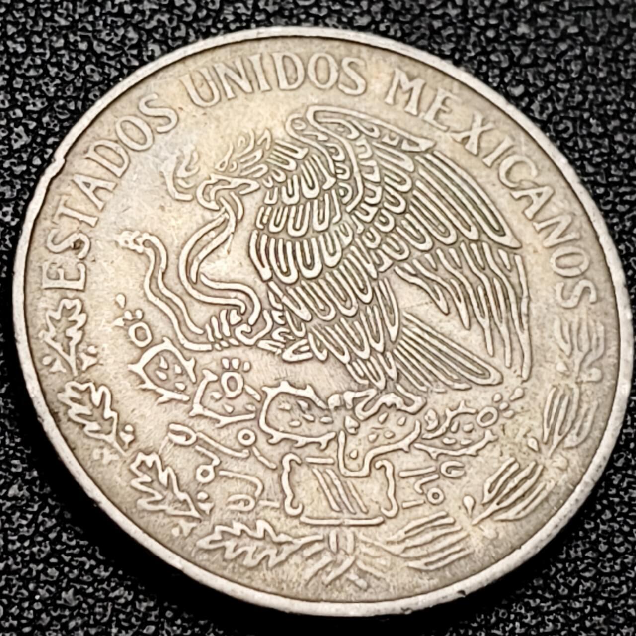 泉币菌-第206场-拍品多 请提前出价 。