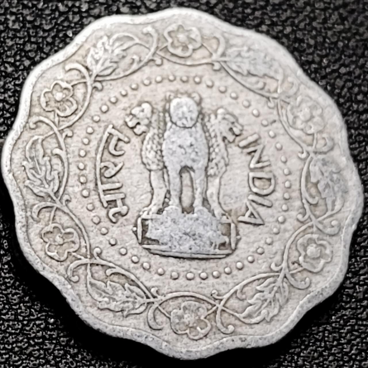 泉币菌-第206场-拍品多 请提前出价 。