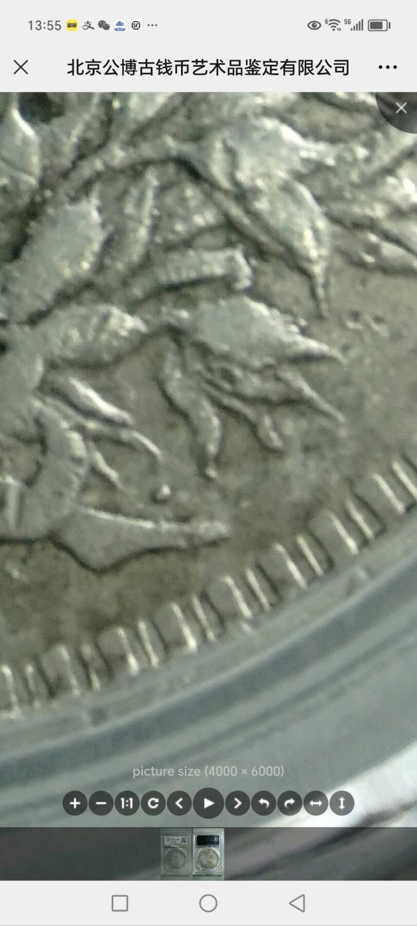 总部45挑华双勾枝上珠、踢球版