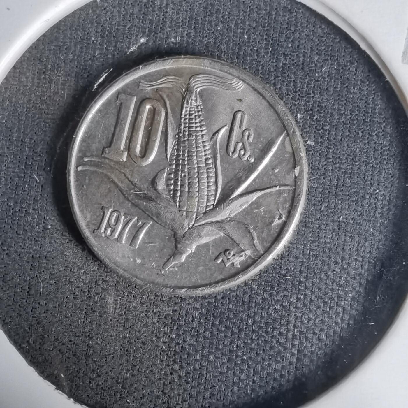 沼泽如烟--第1017场 墨西哥1977年十分