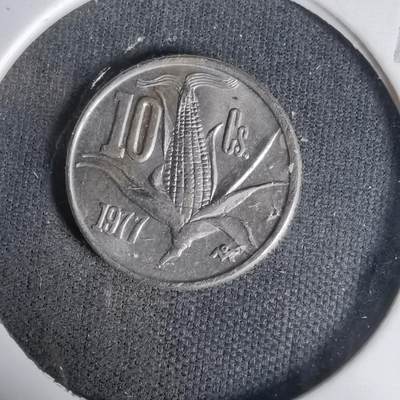 沼泽如烟--第1017场 - 墨西哥1977年十分