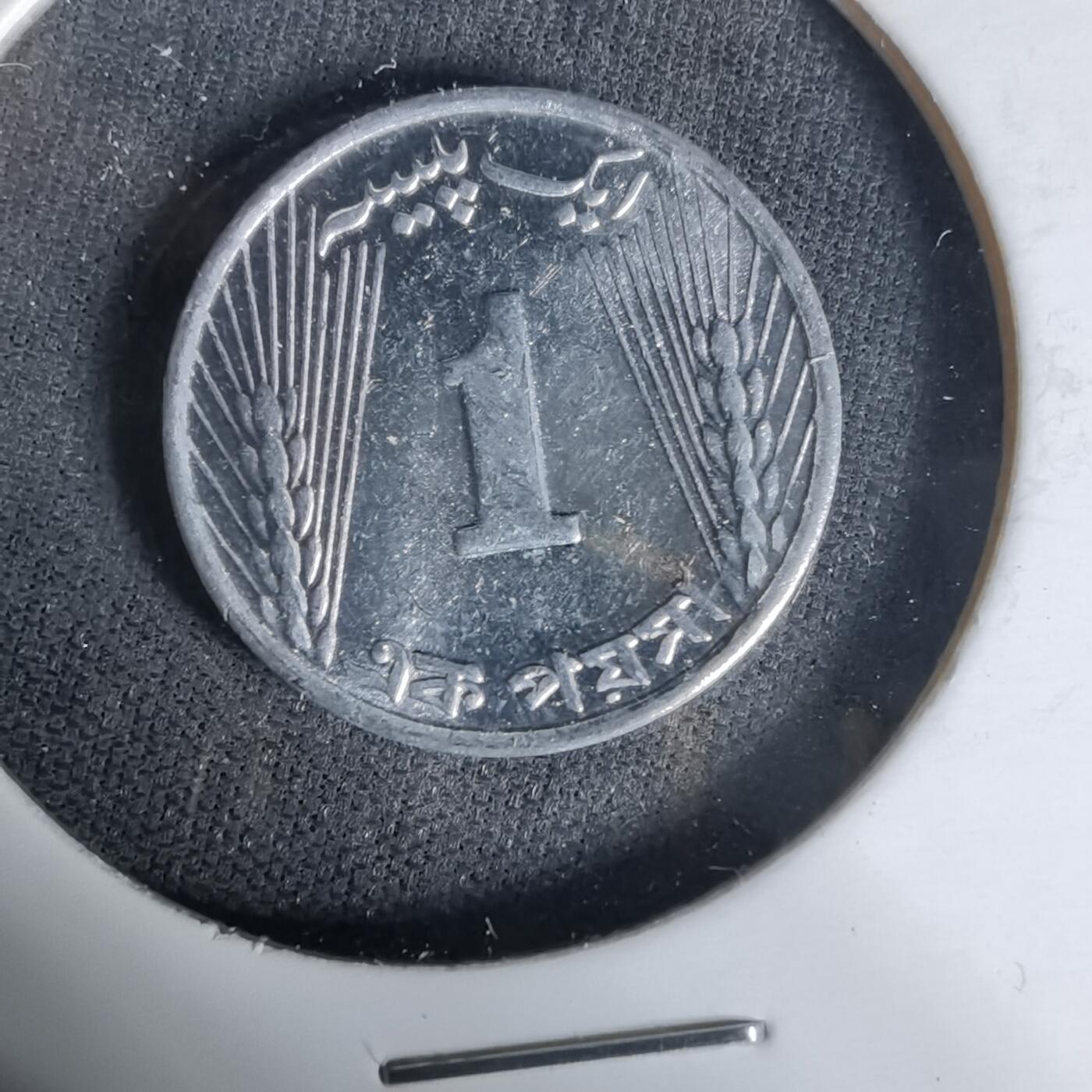 沼泽如烟--第1017场