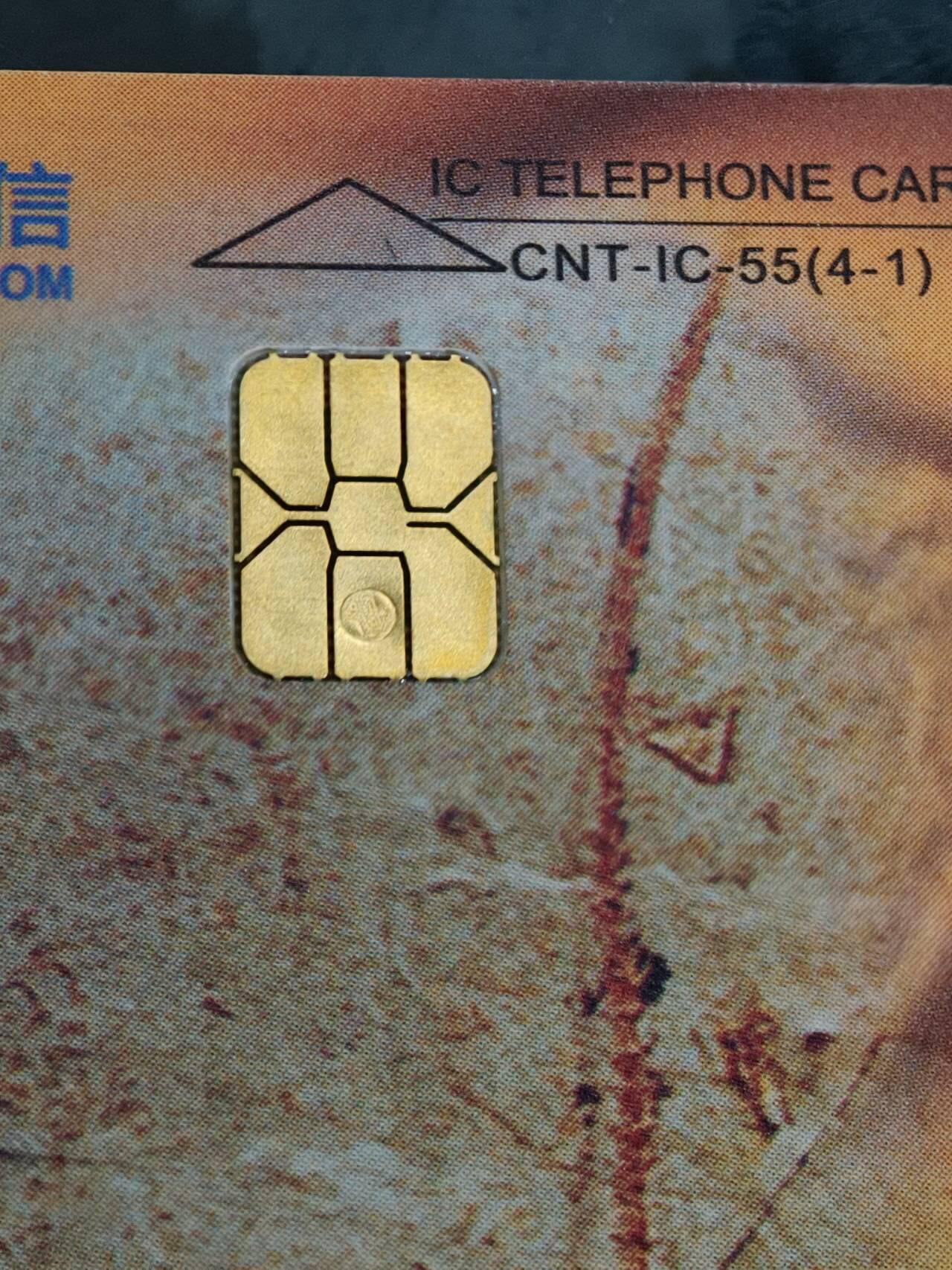 公藏第62期裸卡拍卖 电信IC新卡（IC-55   中华恐龙）4全无封套广东版，芯片光亮，卡品好。