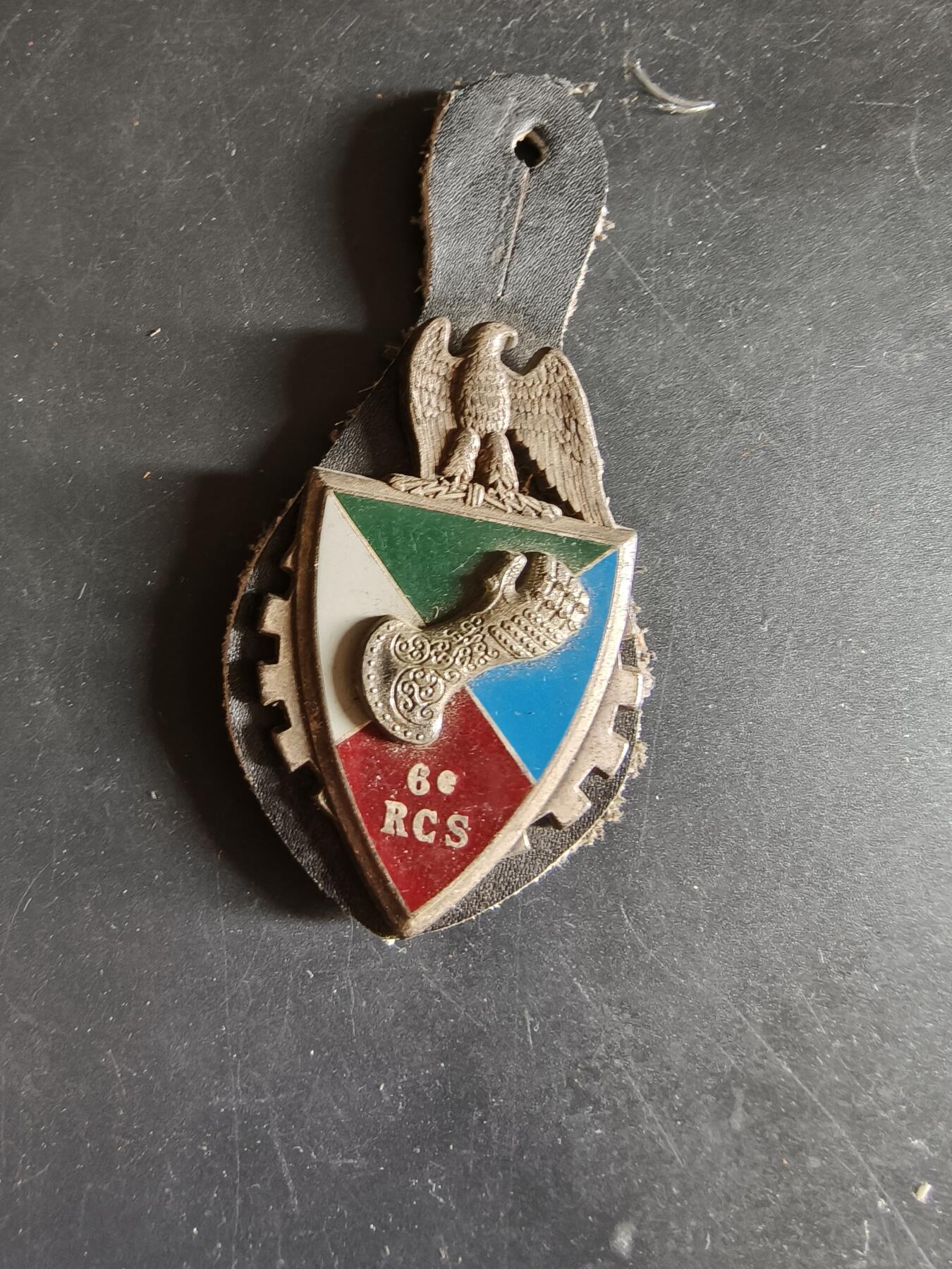 老王徽章第186期 法国陆军第6指挥与支援团证章