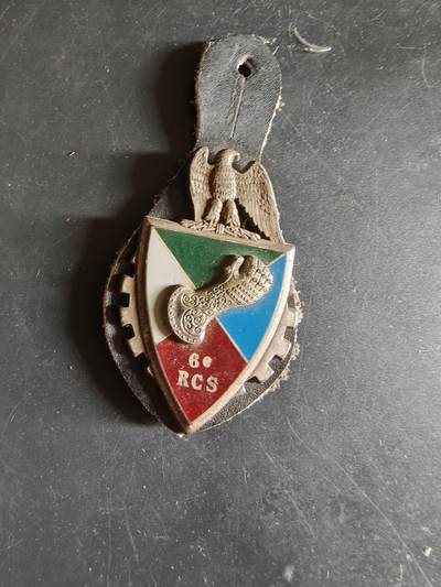 老王徽章第186期 - 法国陆军第6指挥与支援团证章