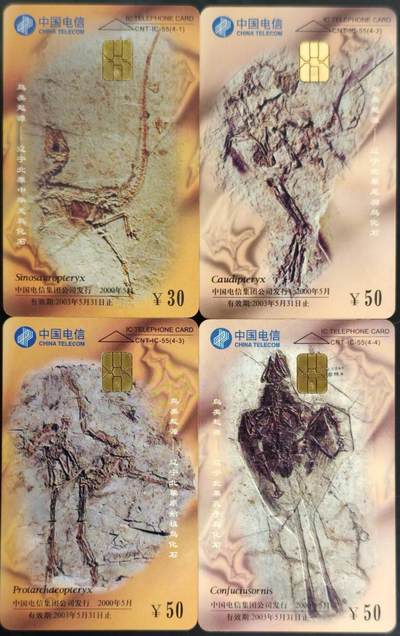 公藏第62期裸卡拍卖 - 电信IC新卡（IC-55   中华恐龙）4全无封套广东版，芯片光亮，卡品好。