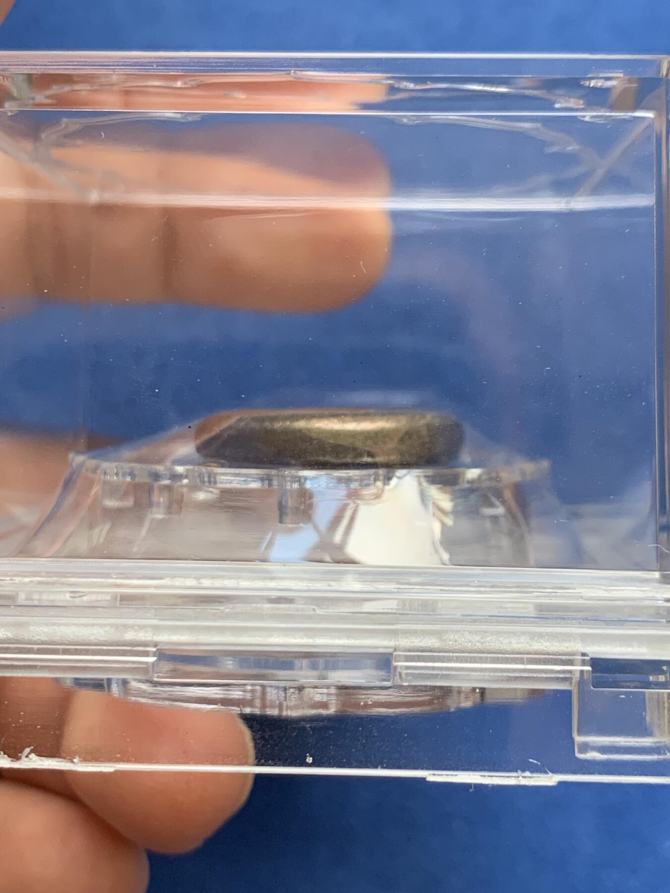 《竞宝斋》第469场 周日，周一 2场连拍 （全场包邮）欢迎送拍 大唐评级93分 民国江门蝴蝶金铺，半两银饼三只蝴蝶栩栩如生