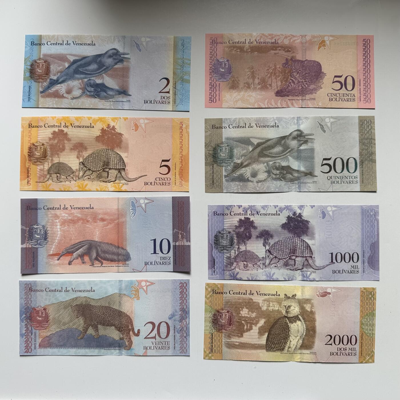 🌹外币初藏🌹🐯2026年第27场   每周二四六晚8️⃣点 接代拍 委内瑞拉全新纸币八张一套