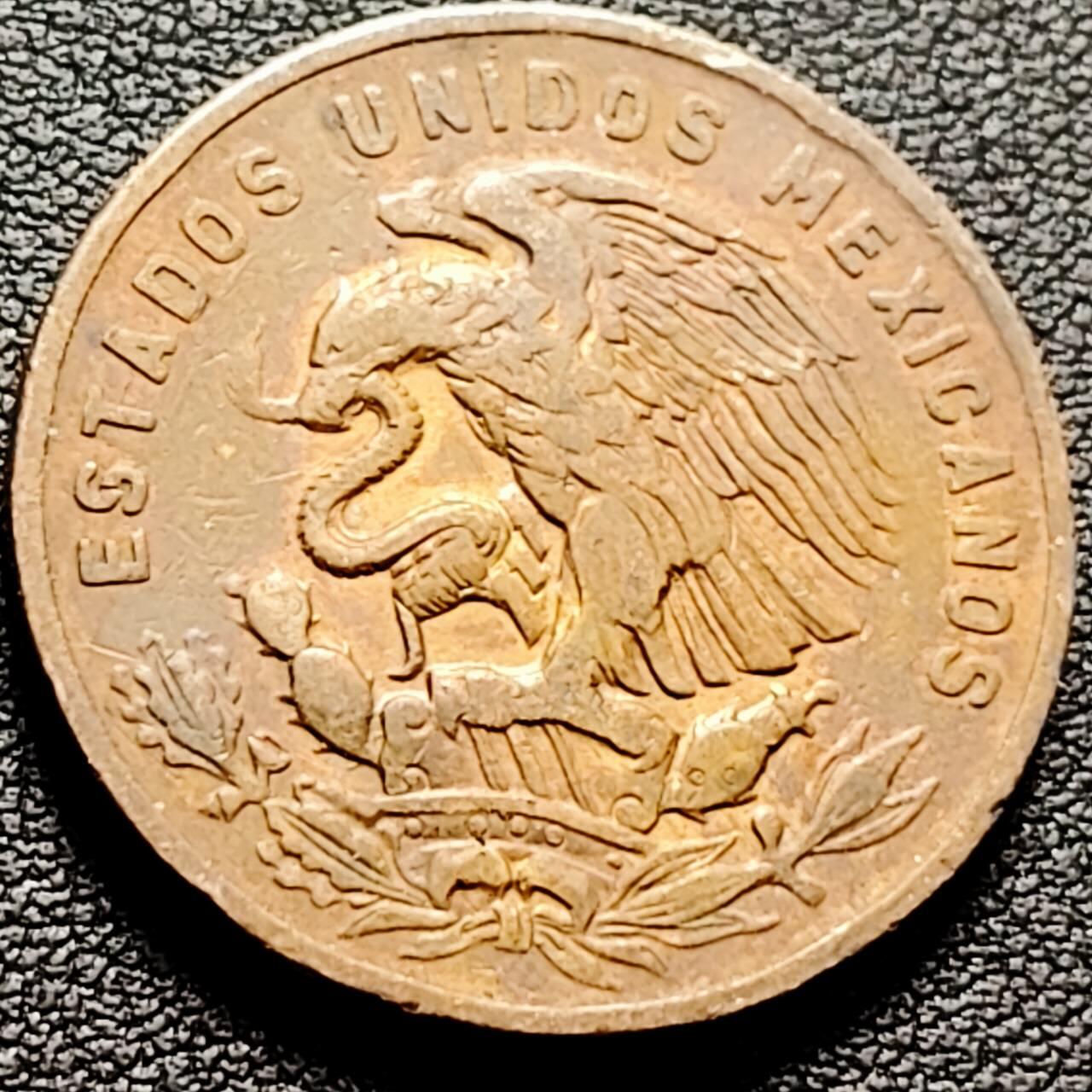 泉币菌-第206场-拍品多 请提前出价 。