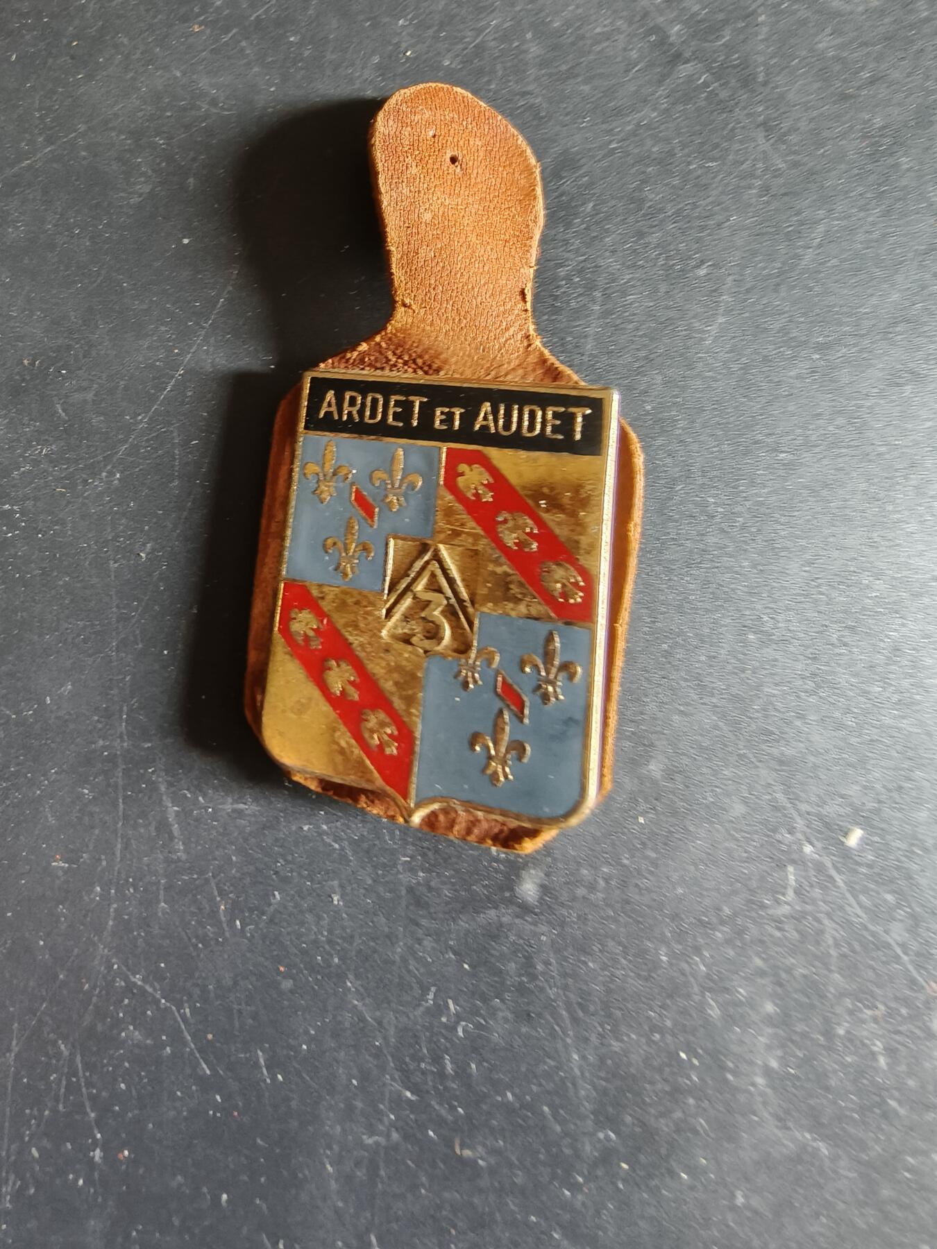 老王徽章第186期 法国陆军第3骠骑兵团证章