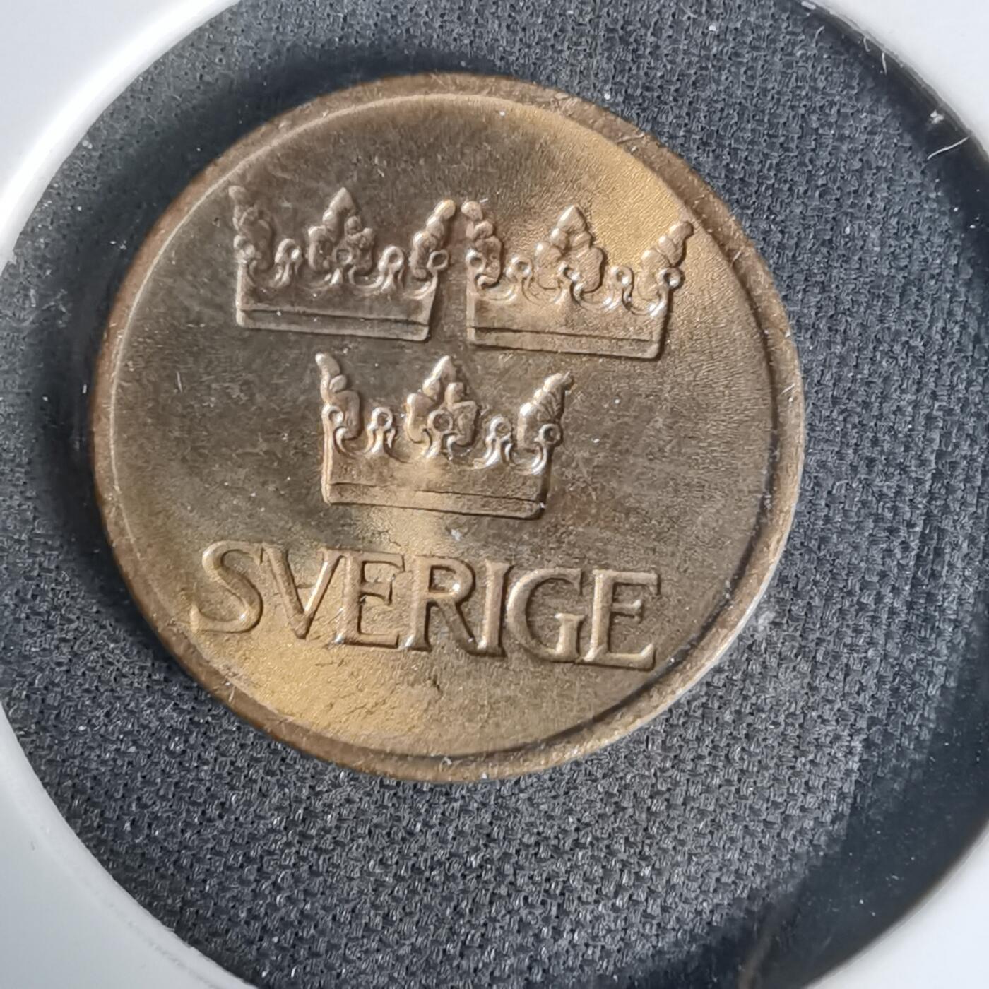 沼泽如烟--第1017场