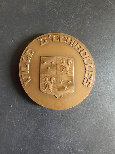 老王徽章第186期 - 法国塔希罗尔市大铜章    直径50mm    重量73.1g