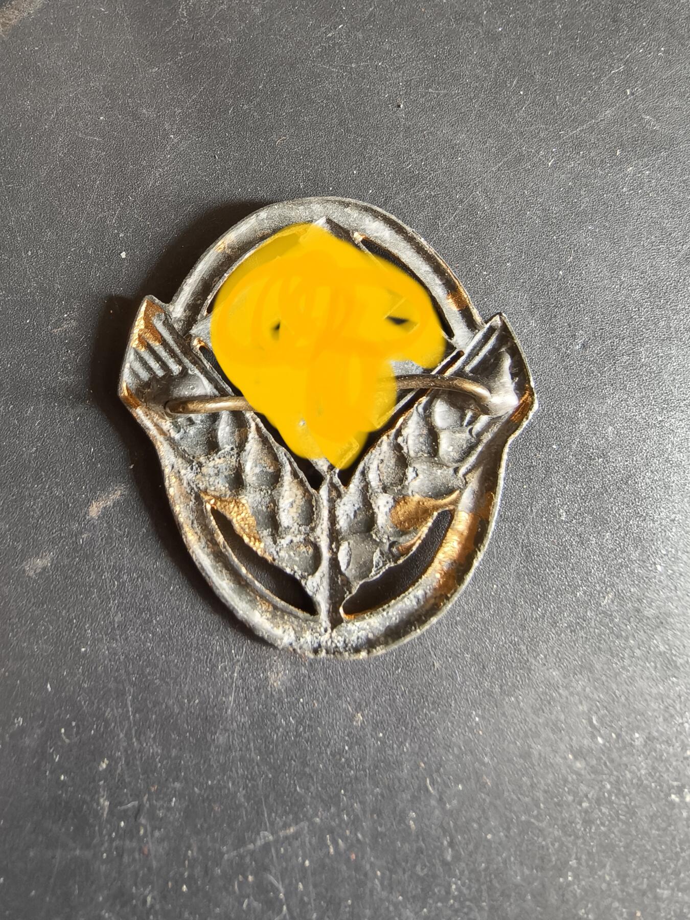 老王徽章第186期 德三妇女服务劳动团帽徽