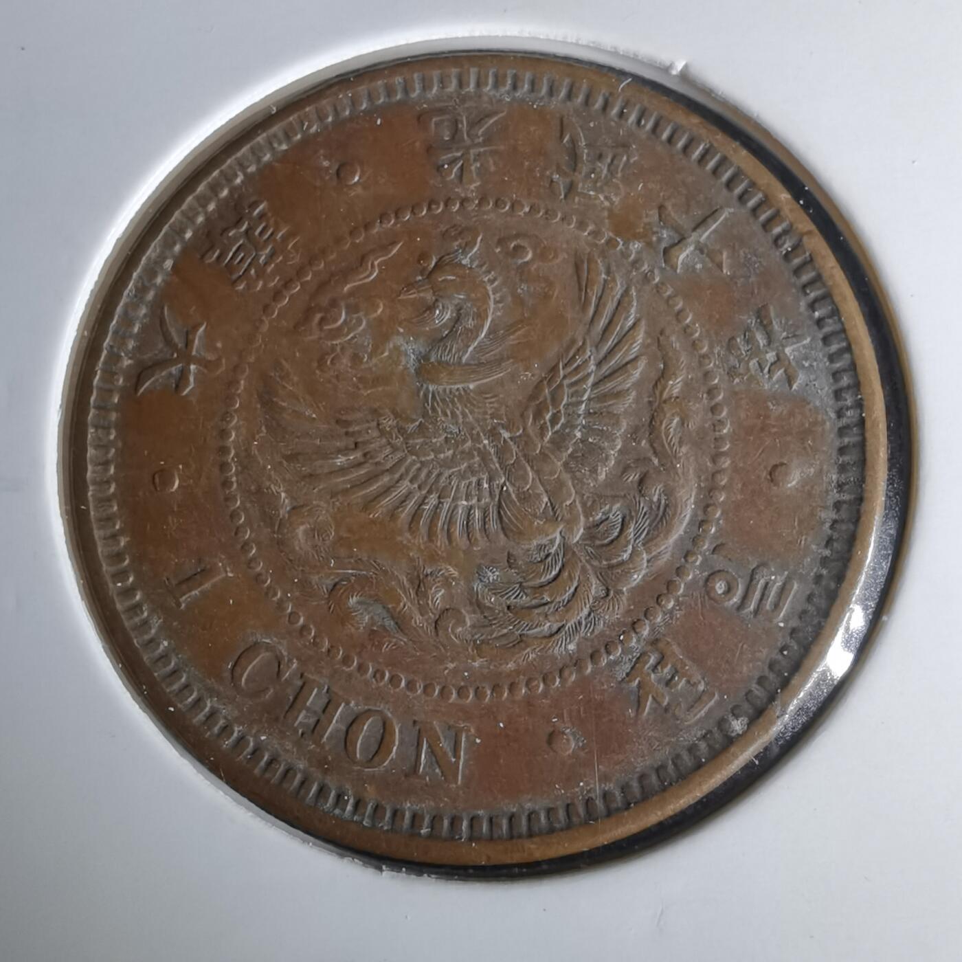 沼泽如烟--第1017场