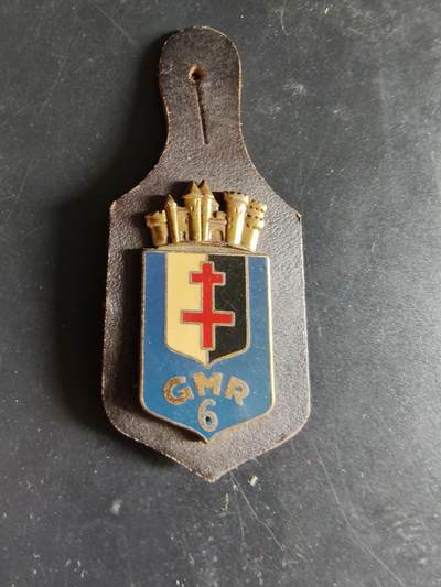 老王徽章第186期 - 法国陆军第6地区资源大队证章