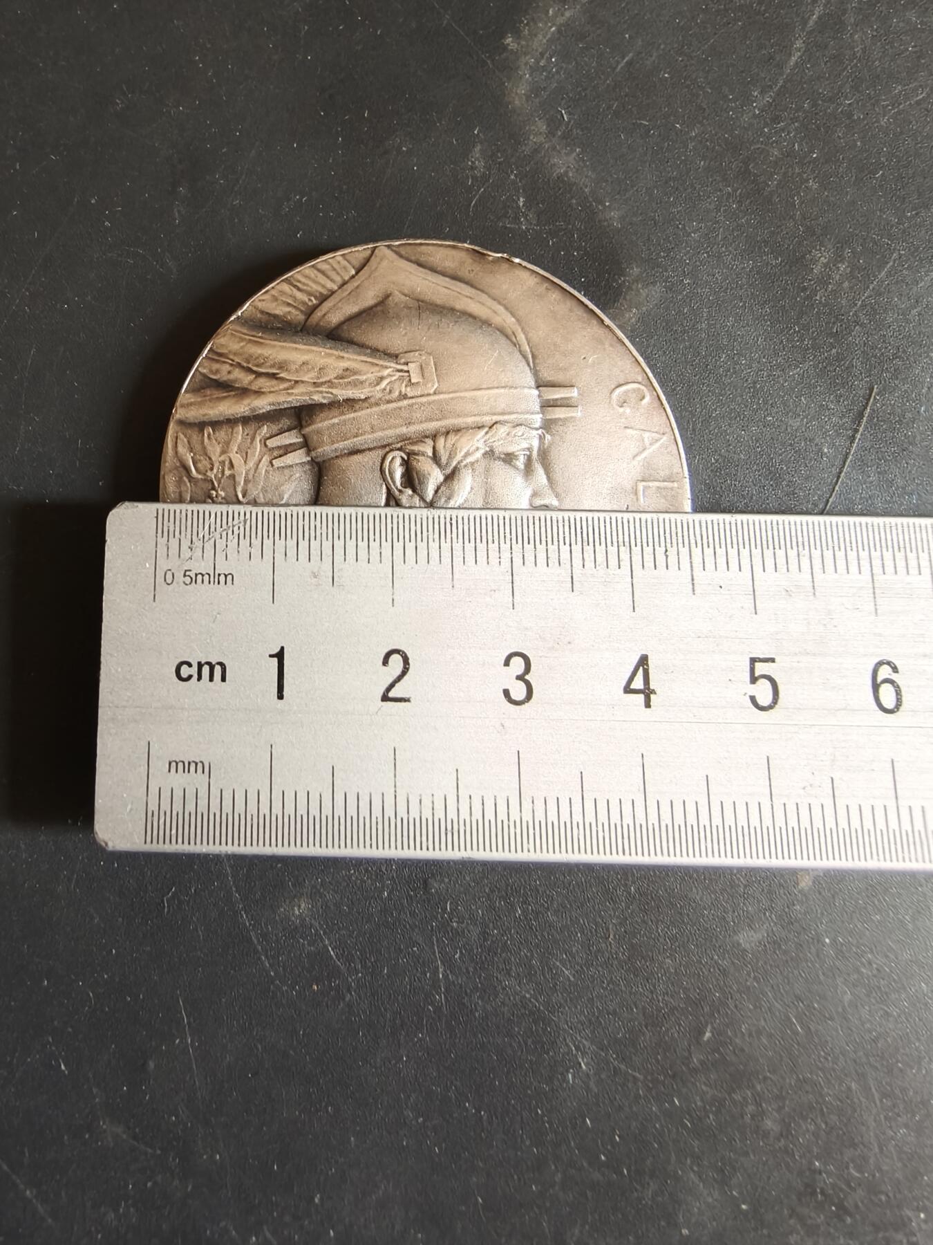 老王徽章第186期 法国洛什农业竞赛镀银大铜章    正面为高卢人形象    直径45mm    重量45g