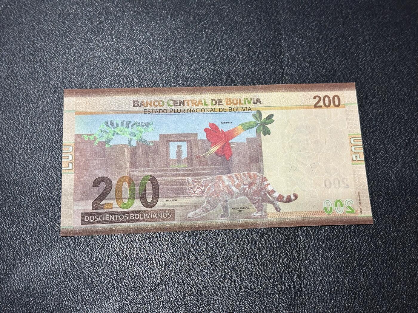 《外钞收藏家》第六百一十六期（精品场）（长期征集拍品、欢迎藏友们联系合作） 玻利维亚100 A冠 无4 全新UNC有个轻微压痕 尾726