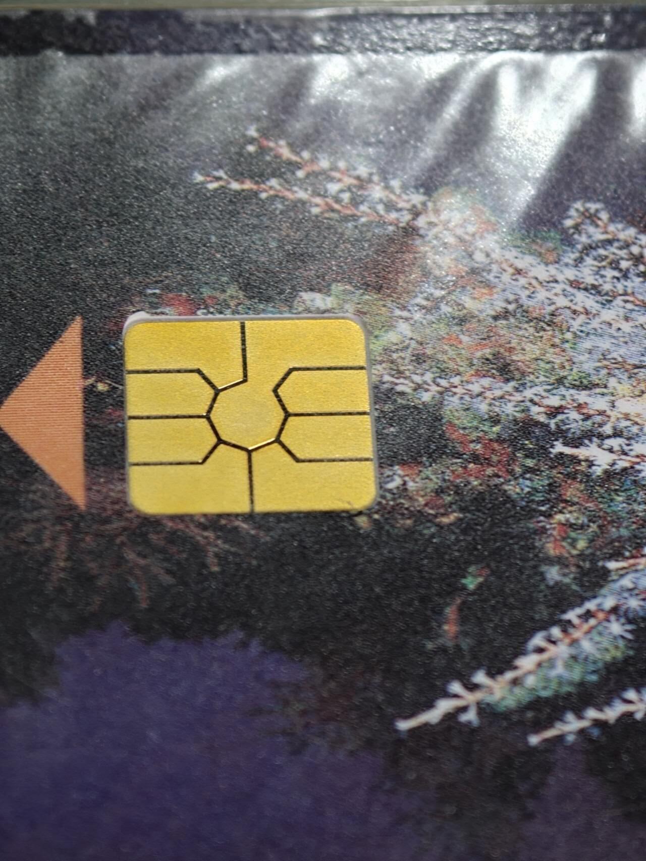 公藏第62期裸卡拍卖 委内瑞拉电信IC卡（海底世界）4全原封套新卡，芯片光亮外套完整。