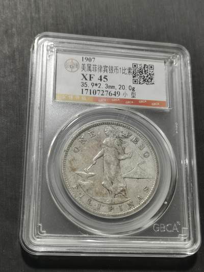 天下钱庄专场欢迎参拍 - 美属菲律宾一比索银币