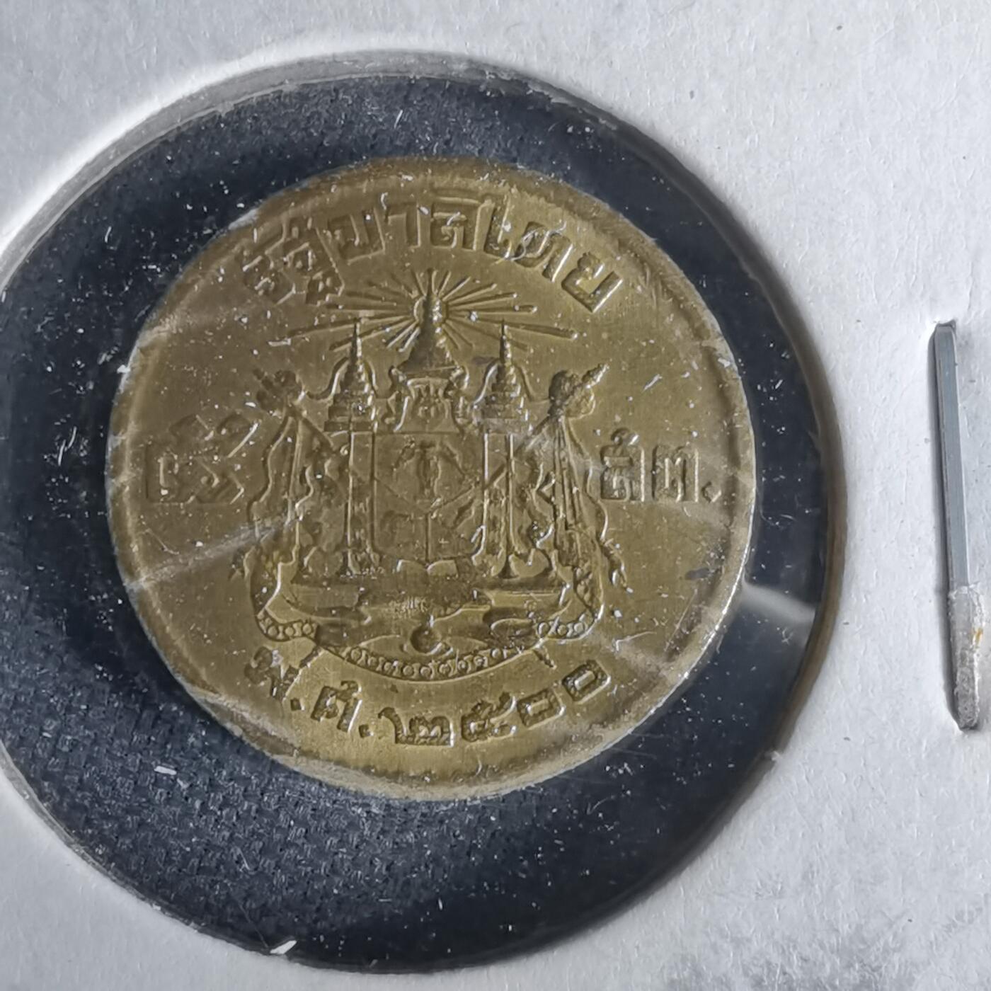 沼泽如烟--第1017场 泰国