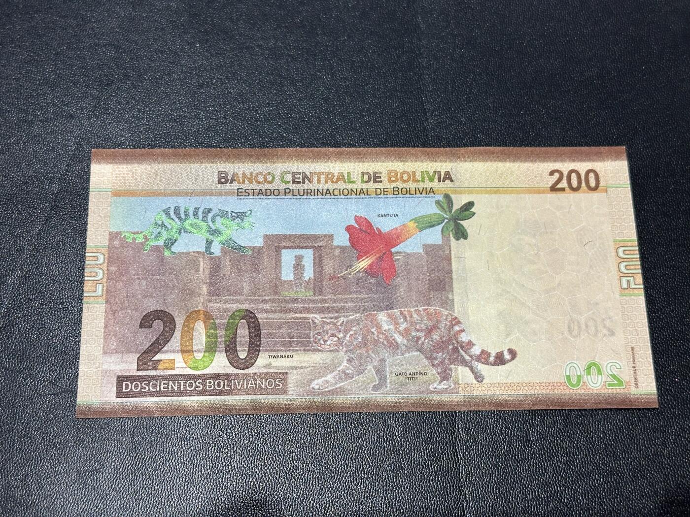 《外钞收藏家》第六百一十六期（精品场）（长期征集拍品、欢迎藏友们联系合作） 玻利维亚100 A冠 无4 全新UNC有个轻微压痕 尾730