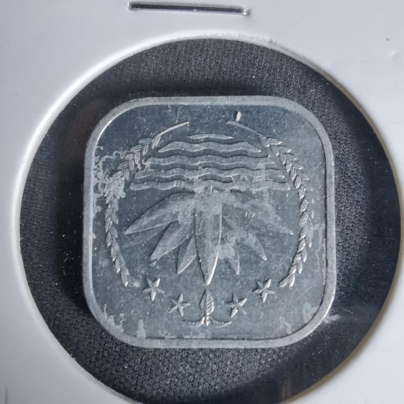 沼泽如烟--第1017场 孟加拉