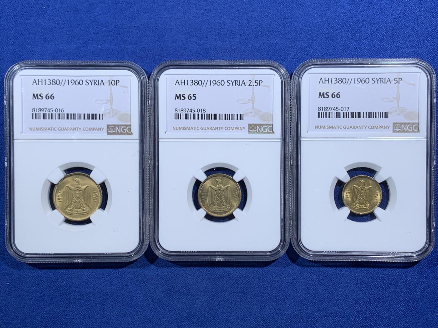 《竞宝斋》第469场 周日，周一 2场连拍 （全场包邮）欢迎送拍 3枚一组 NGC MS65-66 阿联叙利亚1960年2.5、5、10皮铜币