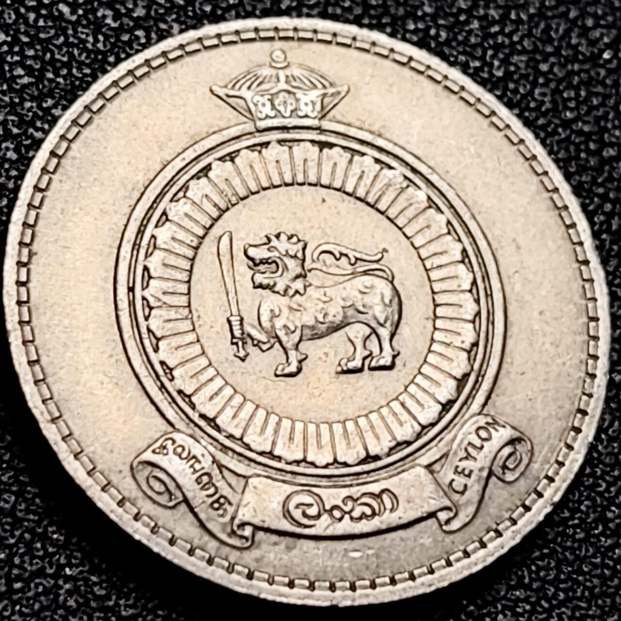 泉币菌-第206场-拍品多 请提前出价 。