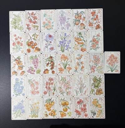 NO.26 好又多金牌大场，夯爆了的马年开门红！每周一站式配齐，方便凑单！（周6晚9点截拍，卖家免费送拍！） - 卡恬文化 锦绣中国 本草纲目 31张