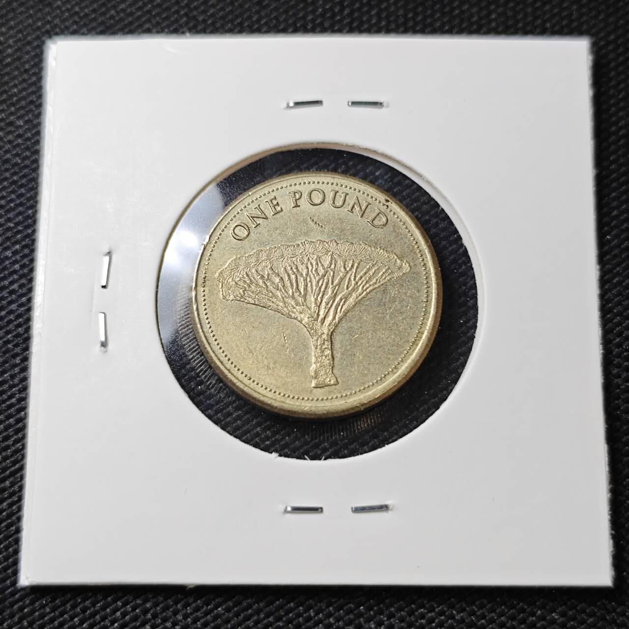 KK钱币收藏小铺   第405期 2月预留时间 周末发货