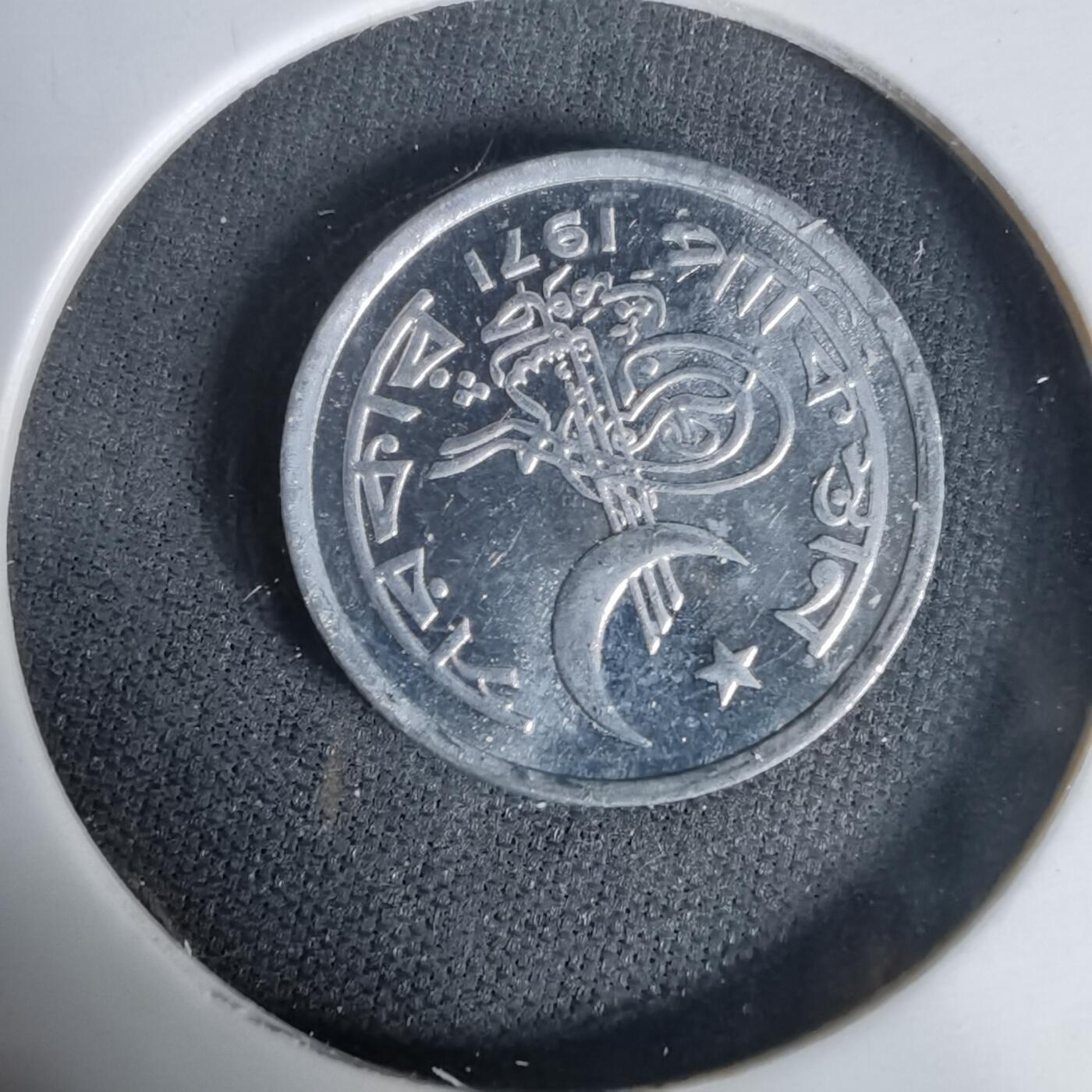 沼泽如烟--第1017场