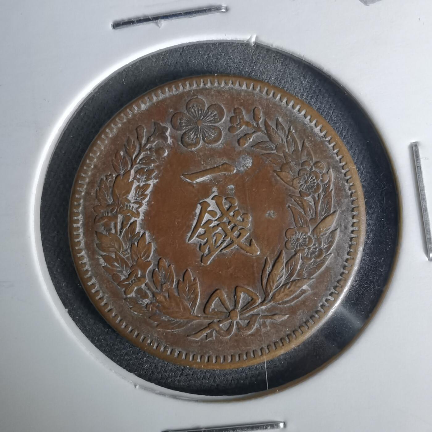 沼泽如烟--第1017场