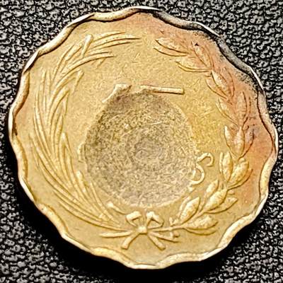 泉币菌-第206场-拍品多 请提前出价  趣味币 错版 币坯凹陷 狮子花边币 1953年巴拉圭15分黄铜硬币 21毫米 