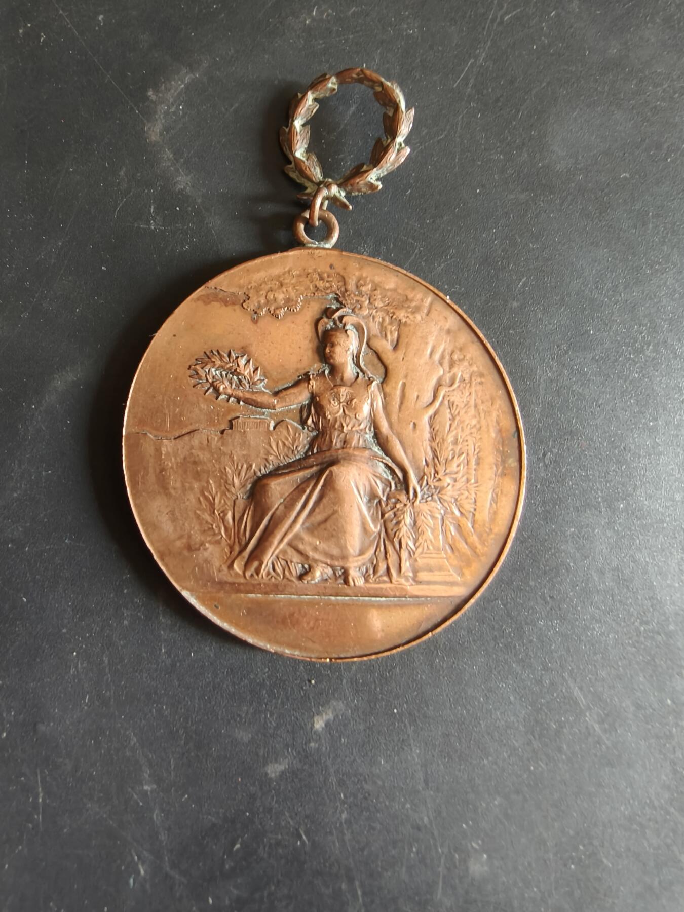 老王徽章第186期 法国1897年奥恩省塞镇年度压榨水果博览会大尺寸铜奖章     直径47mm    重量33.9g