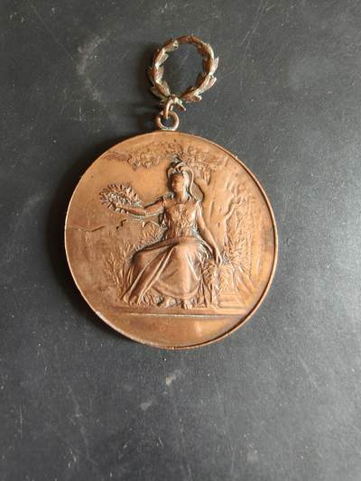 老王徽章第186期 - 法国1897年奥恩省塞镇年度压榨水果博览会大尺寸铜奖章     直径47mm    重量33.9g