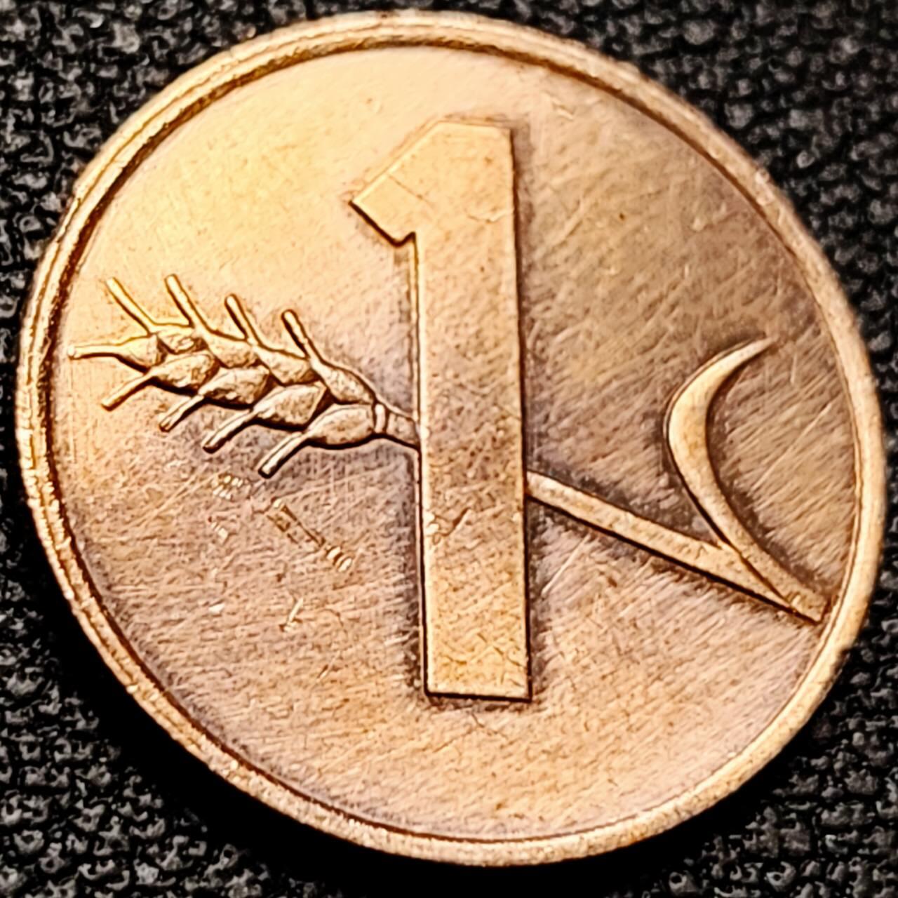 泉币菌-第206场-拍品多 请提前出价 。