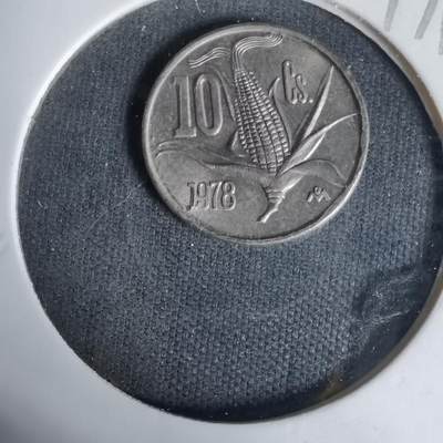 沼泽如烟--第1017场 - 墨西哥1978年十分