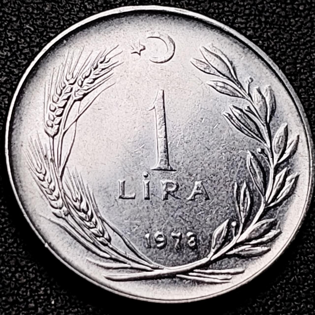 泉币菌-第206场-拍品多 请提前出价 。