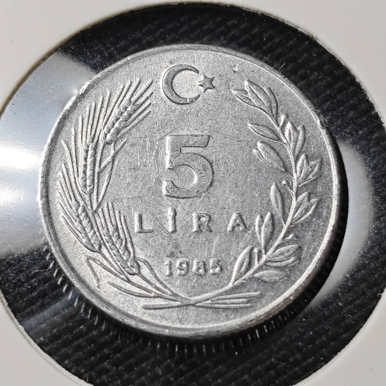 KK钱币收藏小铺   第405期 2月预留时间 周末发货