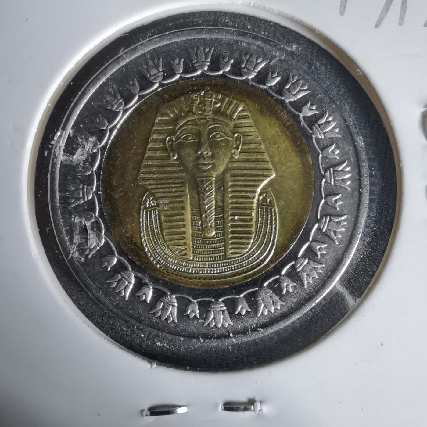 沼泽如烟--第1017场 埃及