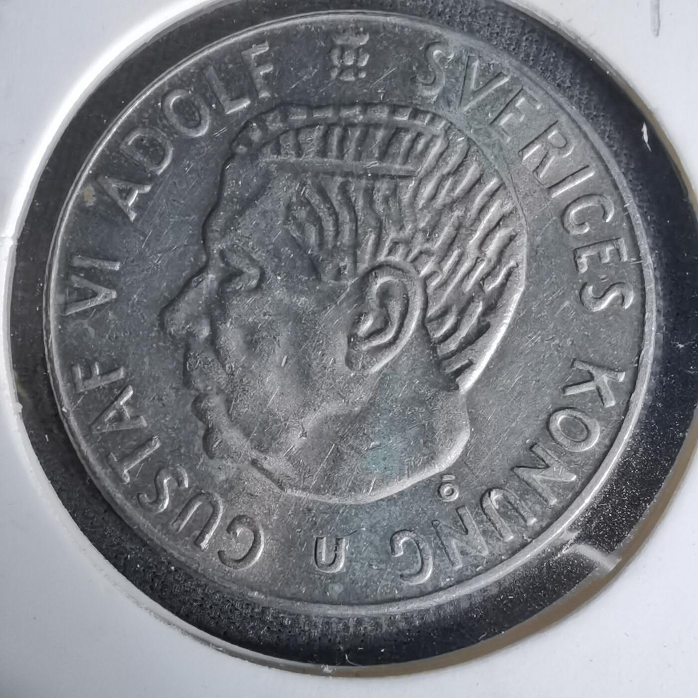 沼泽如烟--第1017场