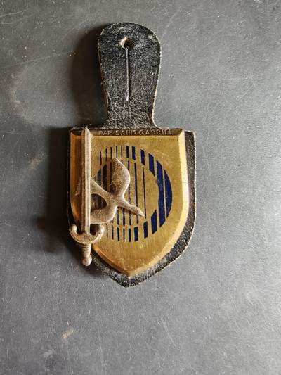 老王徽章第186期 - 法国陆军通信中央管理人员证章