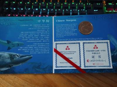 逸泉钱币2026A年十七场历代古钱世界纸钞纪念币钱币专场A2575-3175  29-68 - A6精美中华鲟纪念币精装卡册