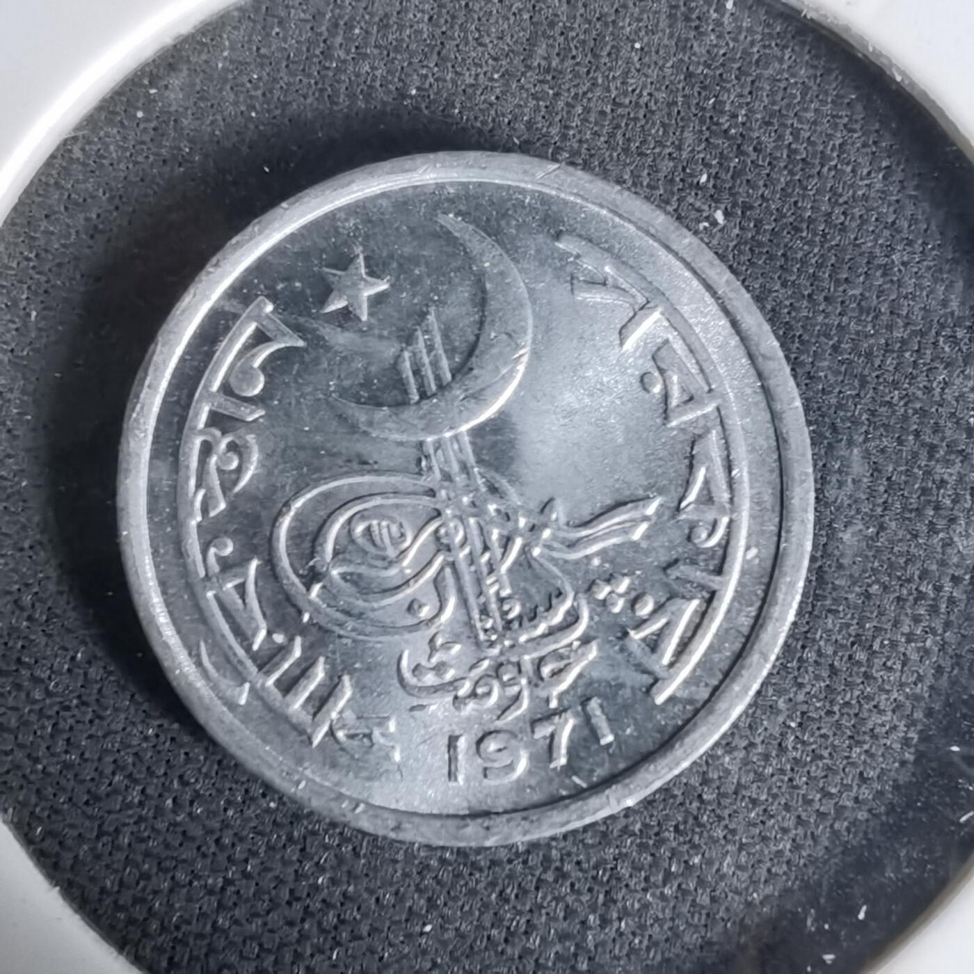 沼泽如烟--第1017场