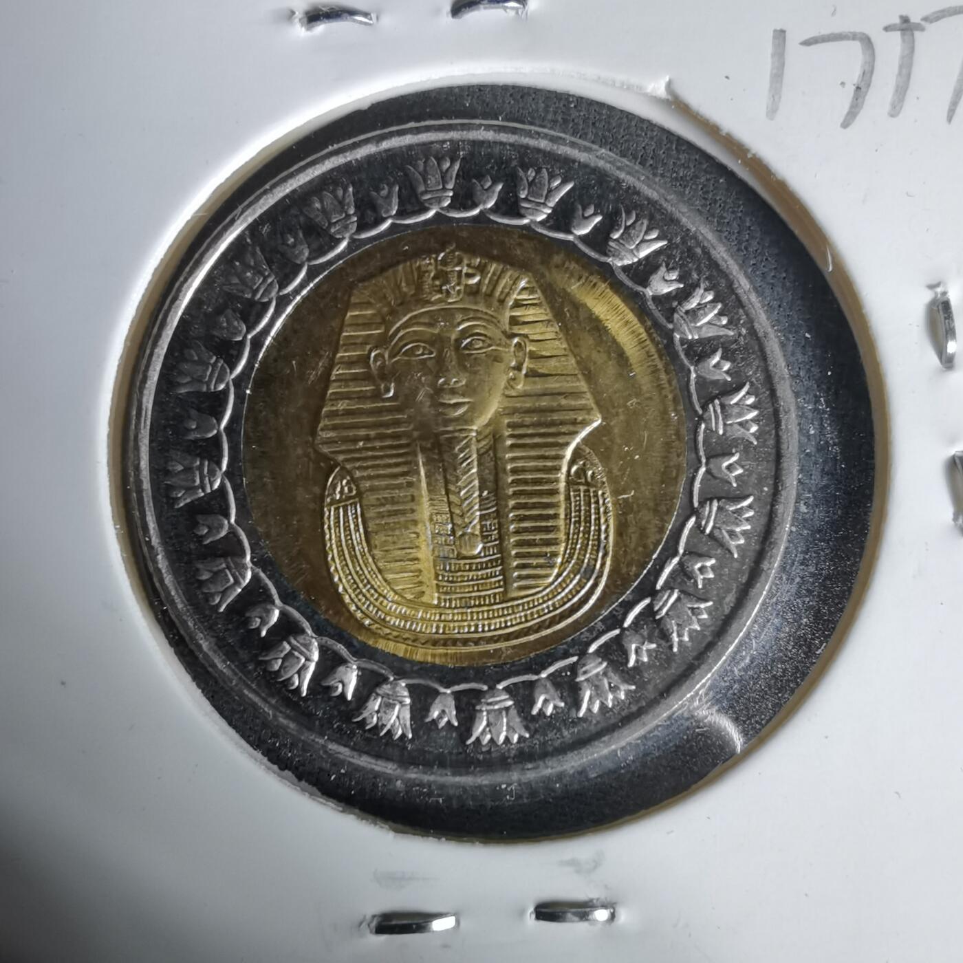 沼泽如烟--第1017场 埃及