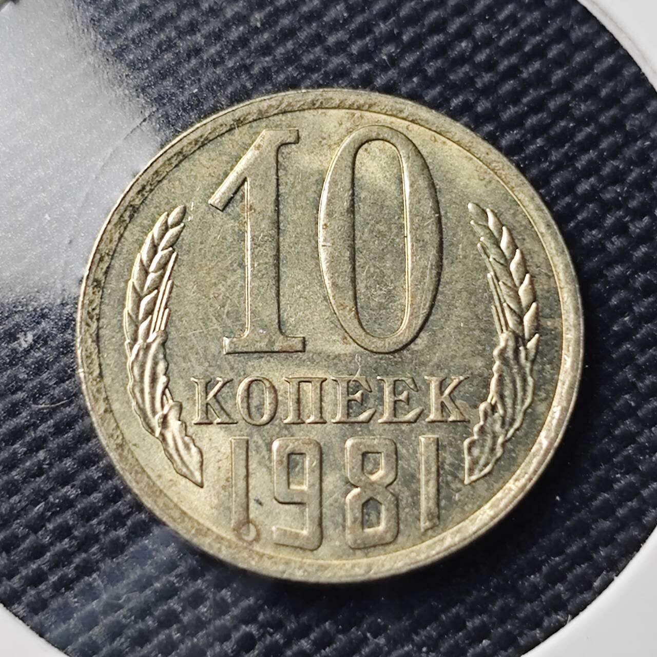KK钱币收藏小铺   第404期 2月预留时间 周末发货  1981苏联10戈比