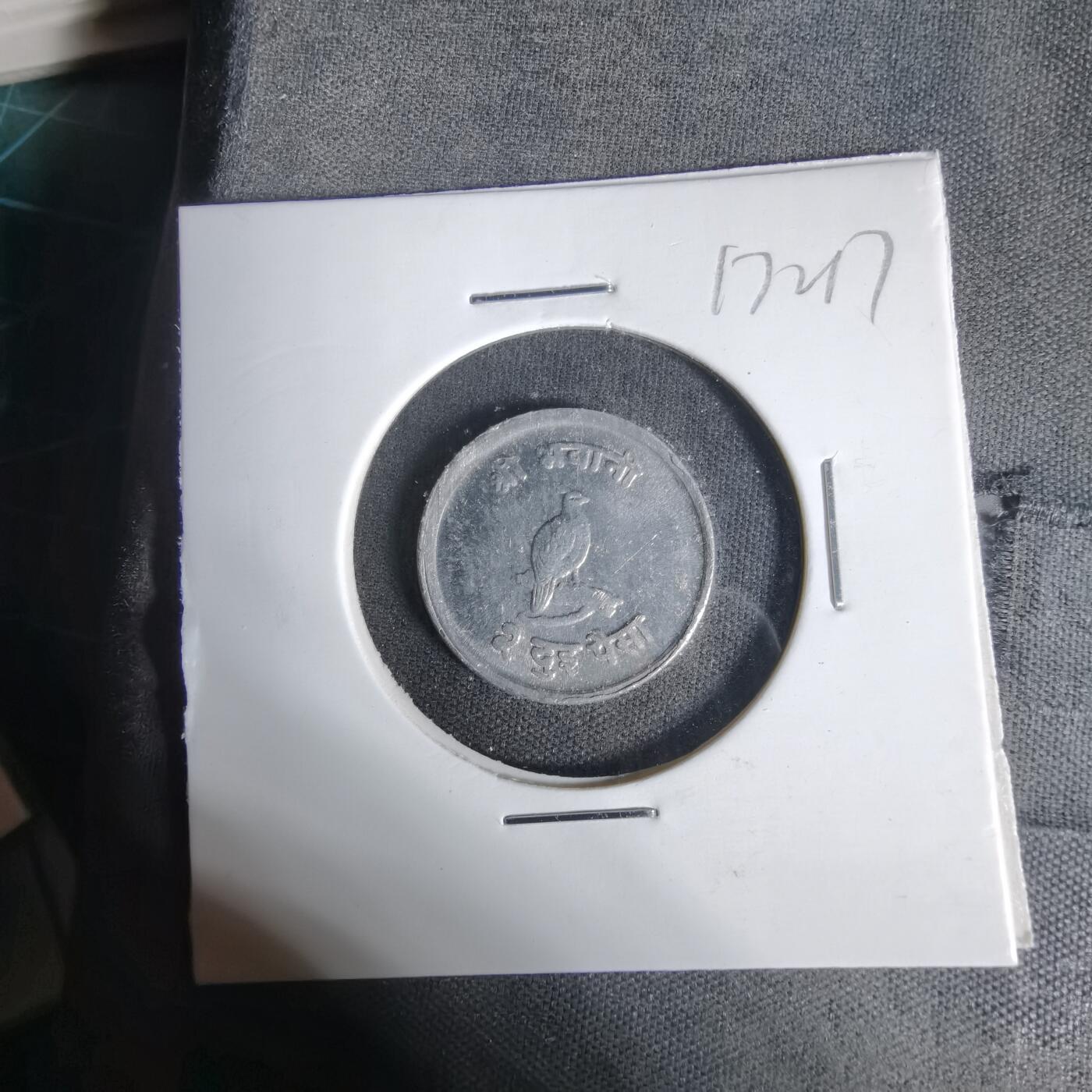 沼泽如烟--第1017场