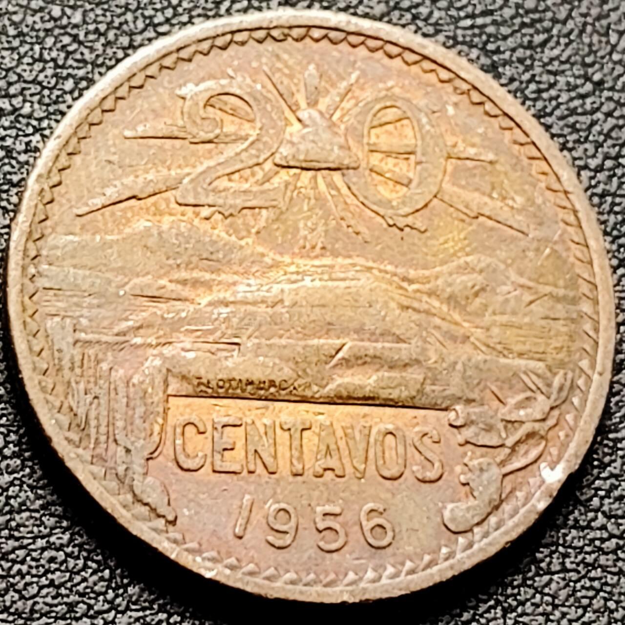 泉币菌-第206场-拍品多 请提前出价 。