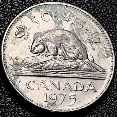 泉币菌-第206场-拍品多 请提前出价 - 加拿大1975年 5分铜镍硬币 21.2mm 青年低冠女王 海狸